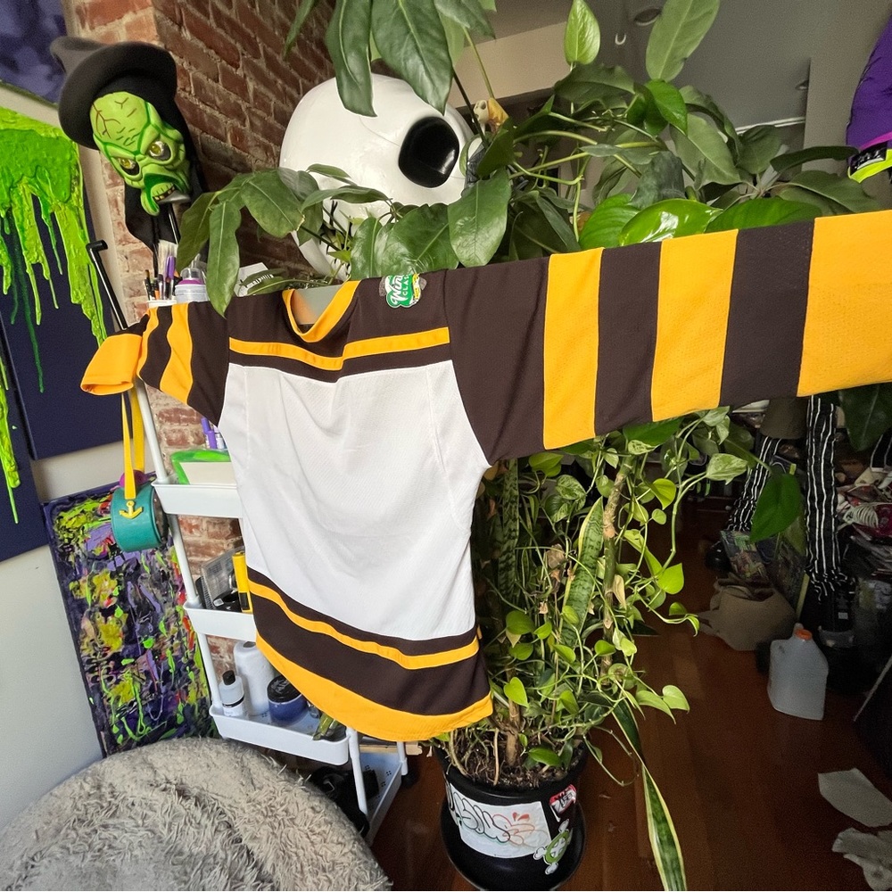 Boston Bruins winter classic